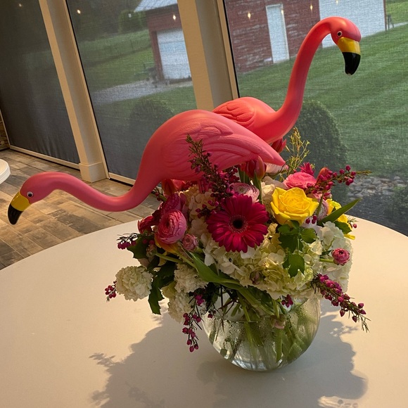 Meet your Posher, Lindsey - Picture 12 of 12